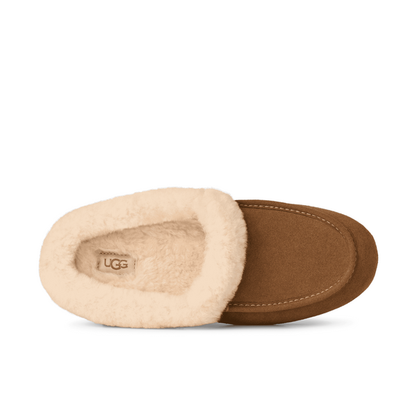 UGG® Ansley Mule Chestnut