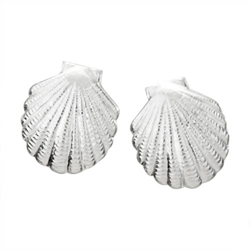 Scalloped Shell Stud Earrings
