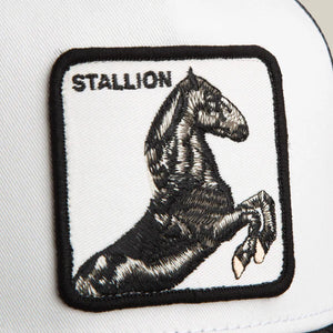 Stallion Trucker
