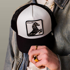 Stallion Trucker
