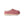 Women's UGG® Tasman Slipper II Horizon Pink