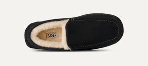 Men's Ascot Slipper
