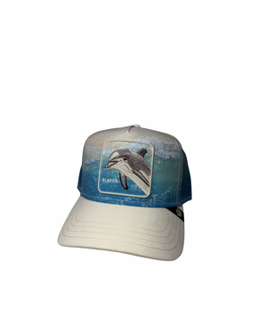 Dolphin In The Element