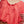 Michelle Blouse Aged Coral