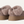 Women's Tazzelle Caribou