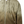 Dip-Dyed Big T Boxy Zip Hoodie