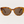 Golden Hour Brown Tortoise