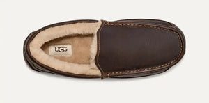 Men's Ascot Slipper