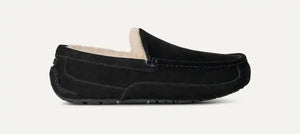 Men's Ascot Slipper