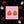 Blushing Soft Orange Pumpkin Stud Earrings