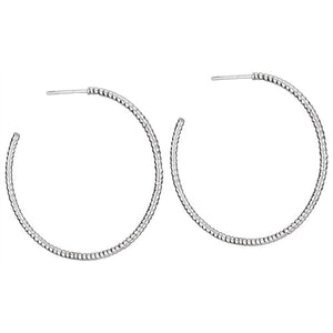 A pair of silver hoop earrings on a white background.