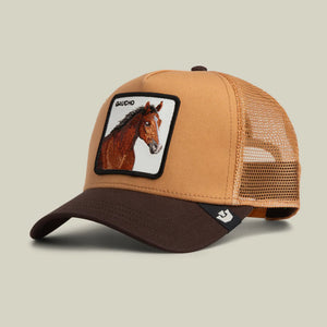 Gaucho Trucker