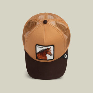 Gaucho Trucker