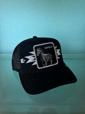 Canyon Gambler Trucker Hat