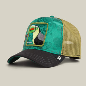 Belize Toucan