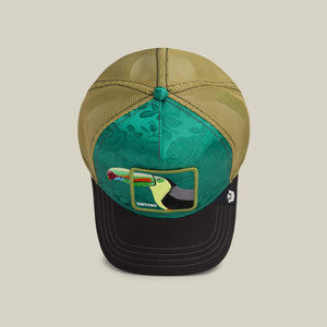 Belize Toucan