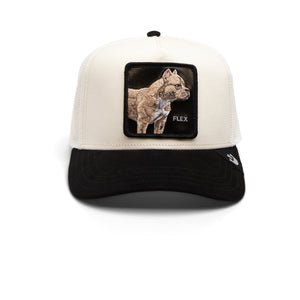 Two-tone baseball cap with an embroidered patch featuring a dog's face.