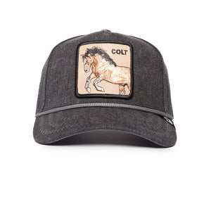 A black baseball cap with a patch depicting a horse and the word 