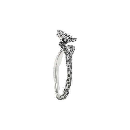 Perched Bird Ring